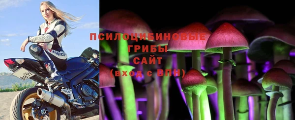 МДПВ Бугульма