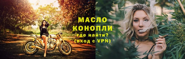 дмт Бородино