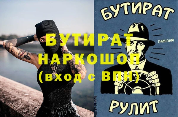 дмт Бородино