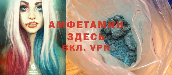 дмт Бородино